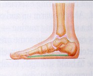 flatfoot.jpg